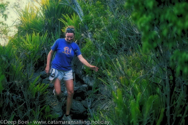 Steep climbs brings you in beautiful nature on top of Bequia.